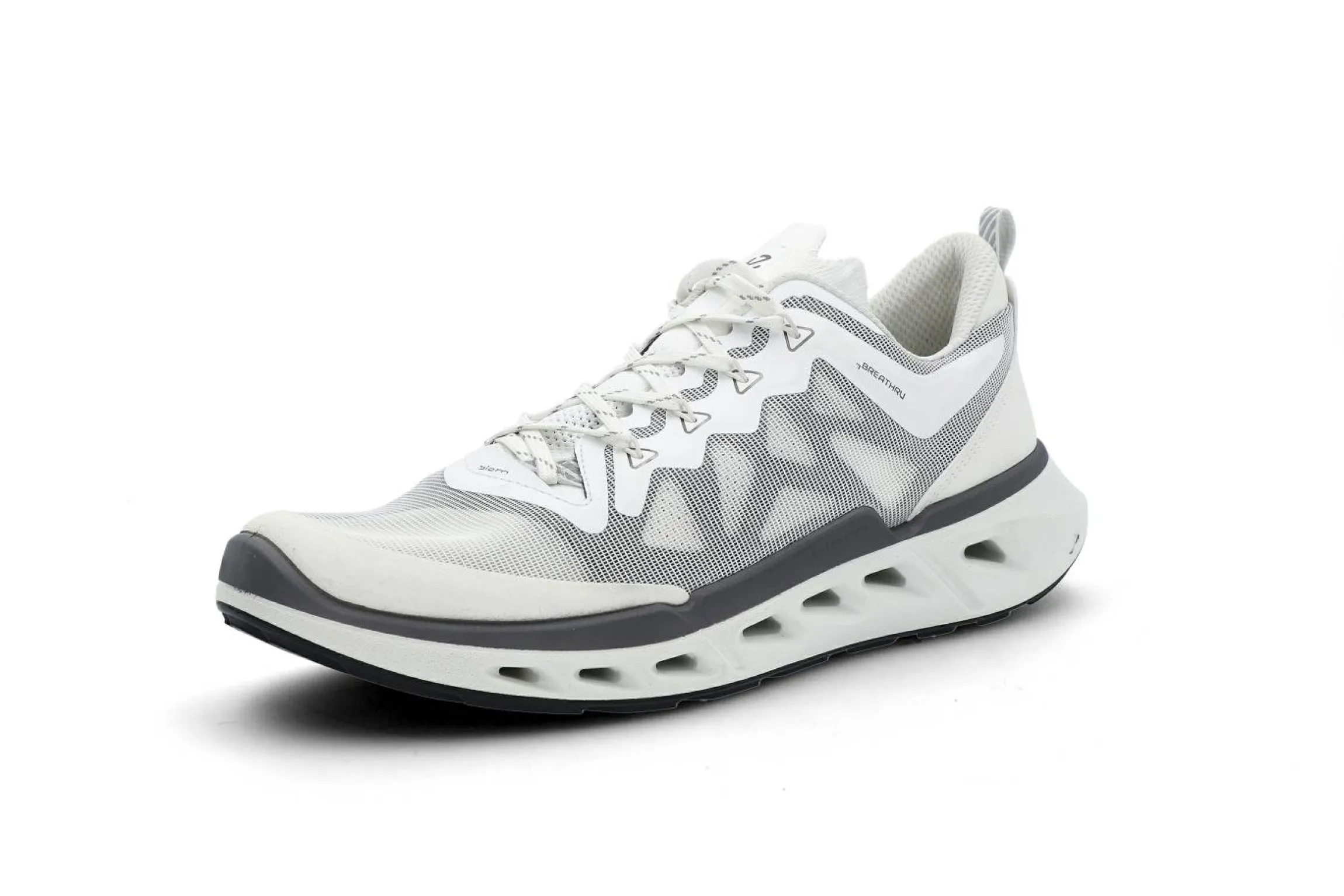 Biom 720