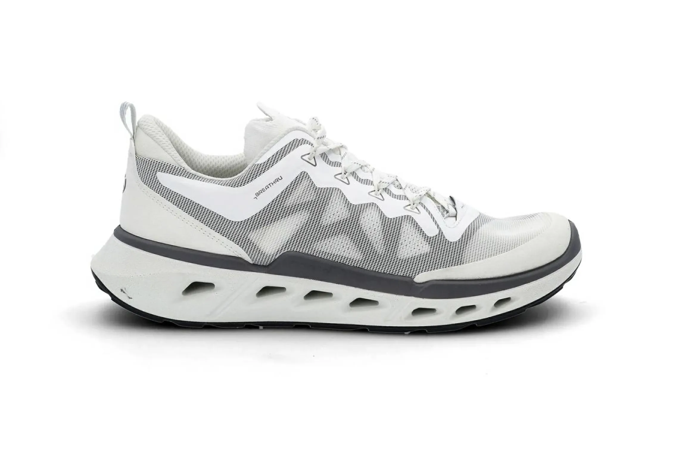 Biom 720
