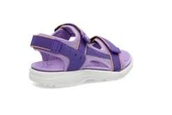 IN2 3404 PURPLE